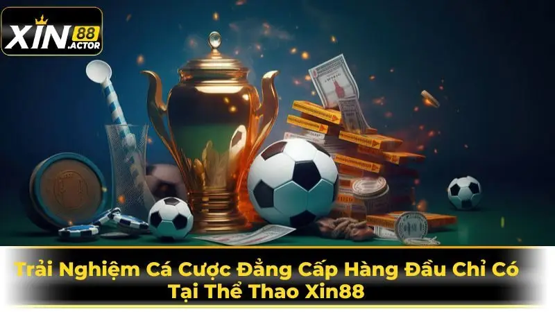 Thể thao Xin88
